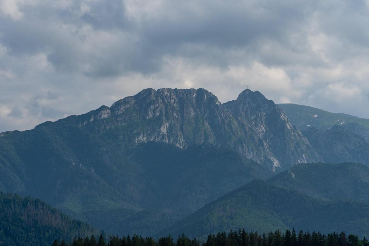 Willa Rzepicha Zakopane Extérieur photo
